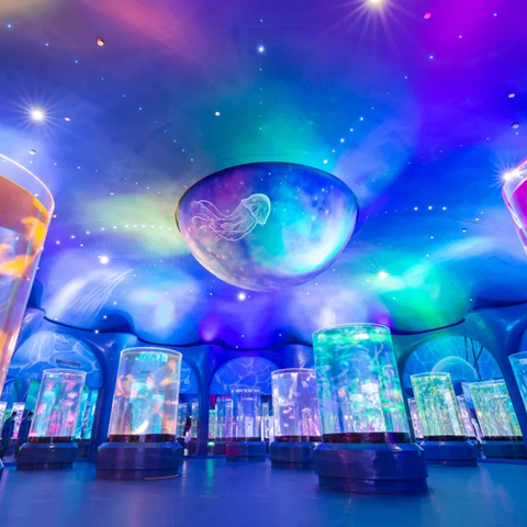 Art of Jellyfish Jellyfish Tanks & Live Petjelly fish tank lamp ឧបករណ៍ធុងទឹក Jellyfish - Leyu