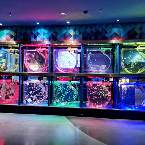 ቻይና የጅምላ ሻጭ የዓሳ ታንክ Aquarium - Leyu Acrylic