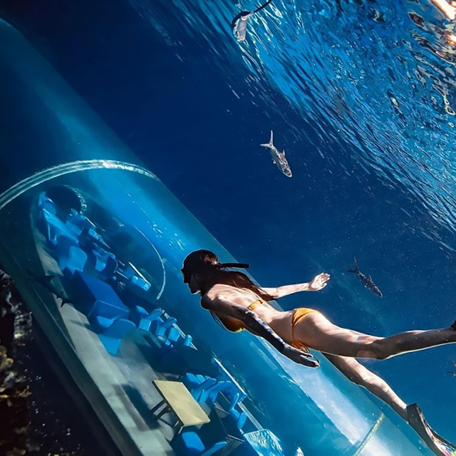 Der sch&ouml;ne gro&szlig;e Acryltunnel f&uuml;r Aquarien – Fabrik f&uuml;r Acrylplattenprodukte von Leyu