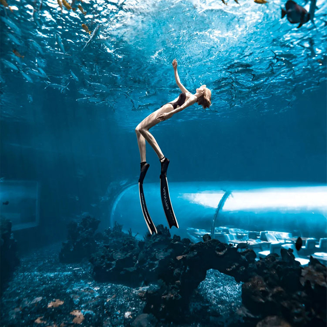 Ενυδρείο Tunnel Ενυδρείο υποβρύχιας σήραγγας - LEYU