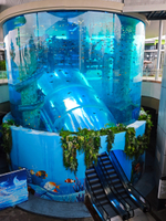 //jqrorwxhmmkrpr5p.ldycdn.com/cloud/pmBpqKmipmSRmlniipirkp/Tonglu-Aquarium-Project-Leyu-Case7.jpg