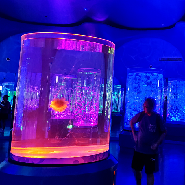 Die Leyu Acrylic Aquarium Factory hat &uuml;ber 70 Aquarium-Architekturen fertiggestellt – Leyu