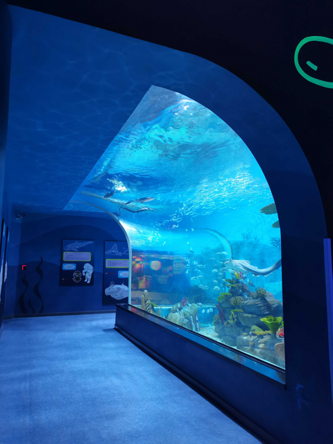 Fabryka akrylu Le Yu zabierze Cię do zwiedzania oceanarium Sea World - Leyu