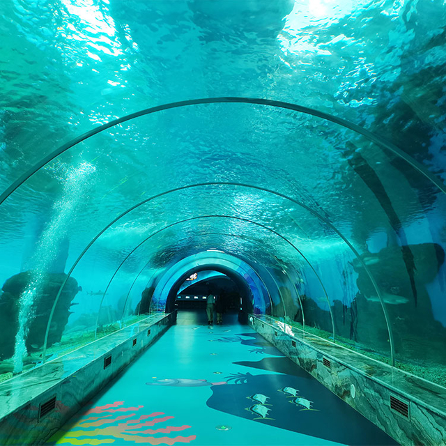 Quelles sont les caract&eacute;ristiques de l'aquarium tunnel dans l'usine de produits en feuilles acryliques de Bangalore-Leyu