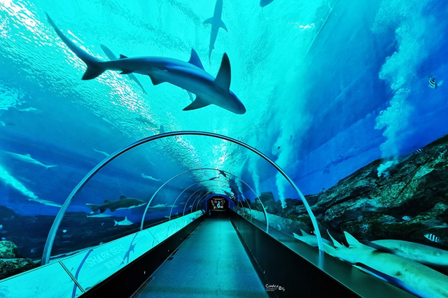 So bauen Sie einen Unterwassertunnel. Bitte achten Sie auf die Fabrik f&uuml;r Plexiglasprodukte in Leyu – Leyu 