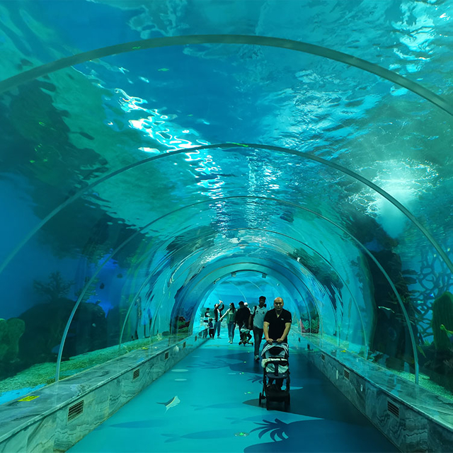 The Factory of Custom Underwater Tunnel Aquariums-Leyu Acrylic Sheet Products Factory